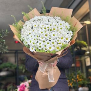 Alanya Flower Order - Daisy & Gerbera