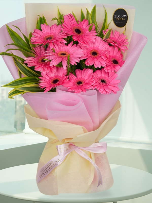 Alanya Flower Order - Pink Jerbera Bouquet