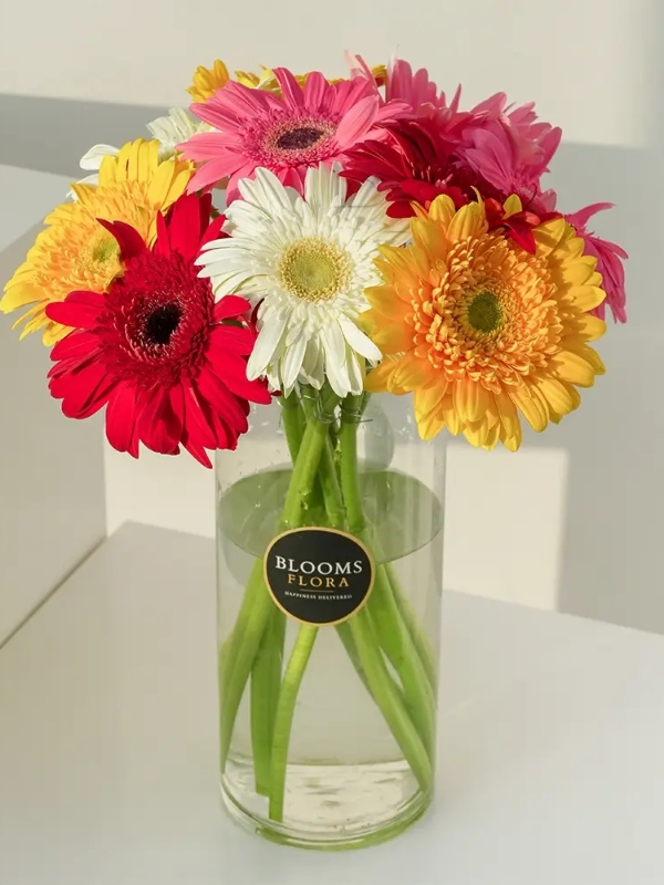  Send Flowers to Alanya - Colorful Jerberas in a Vase